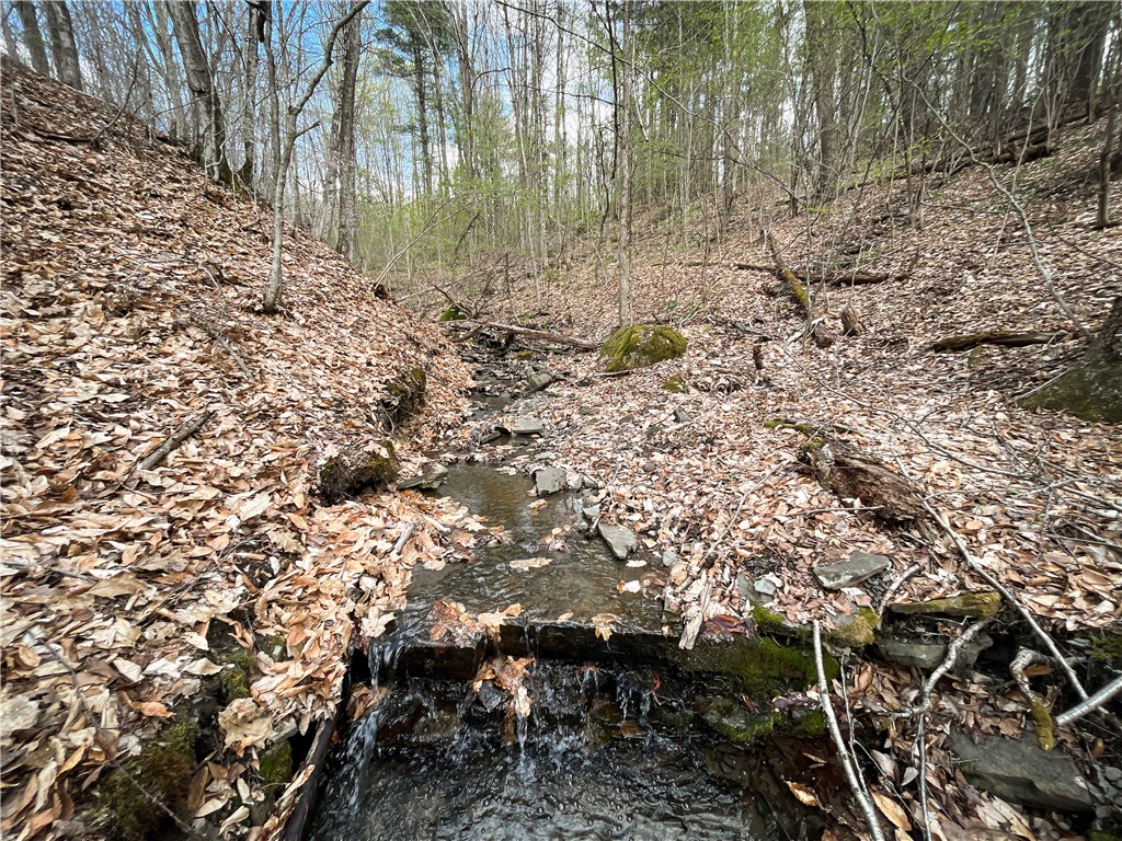 W Creek Road, Richford, New York image 28
