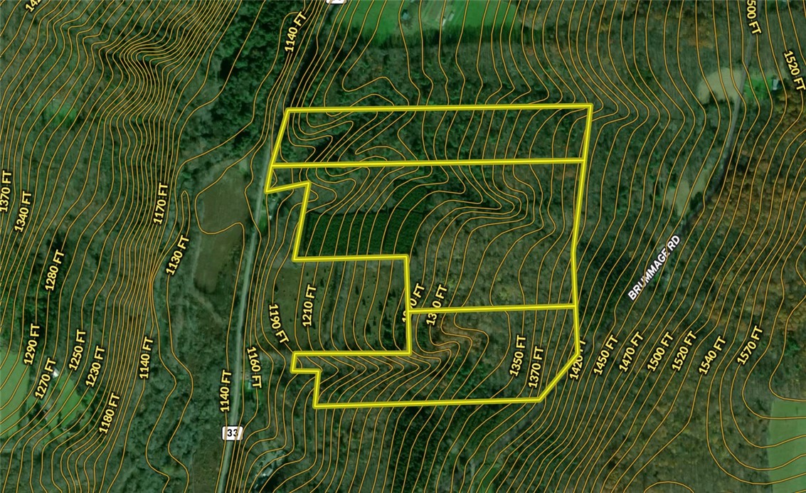 W Creek Road, Richford, New York image 42