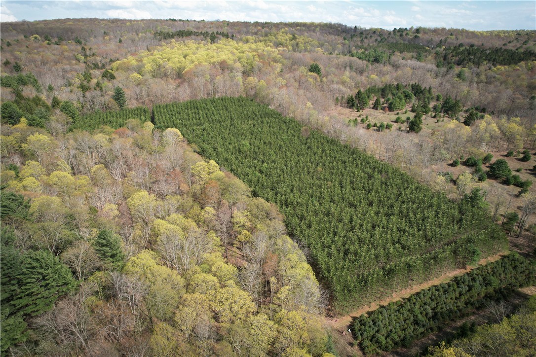 W Creek Road, Richford, New York image 6
