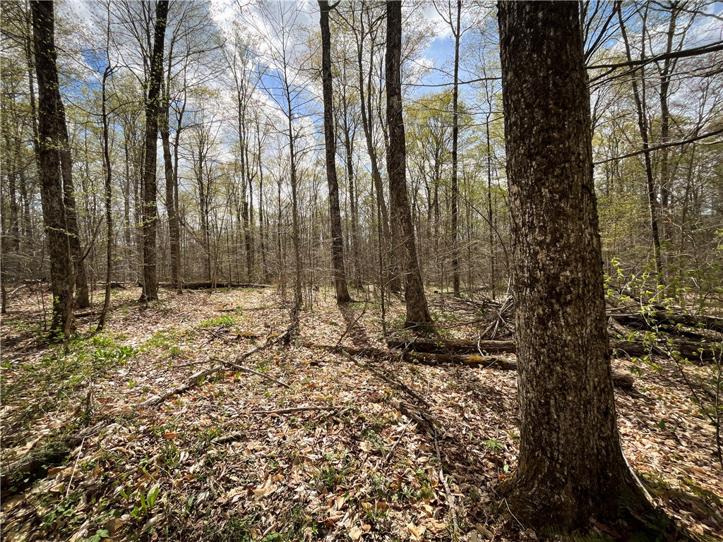 W Creek Road, Richford, New York image 20