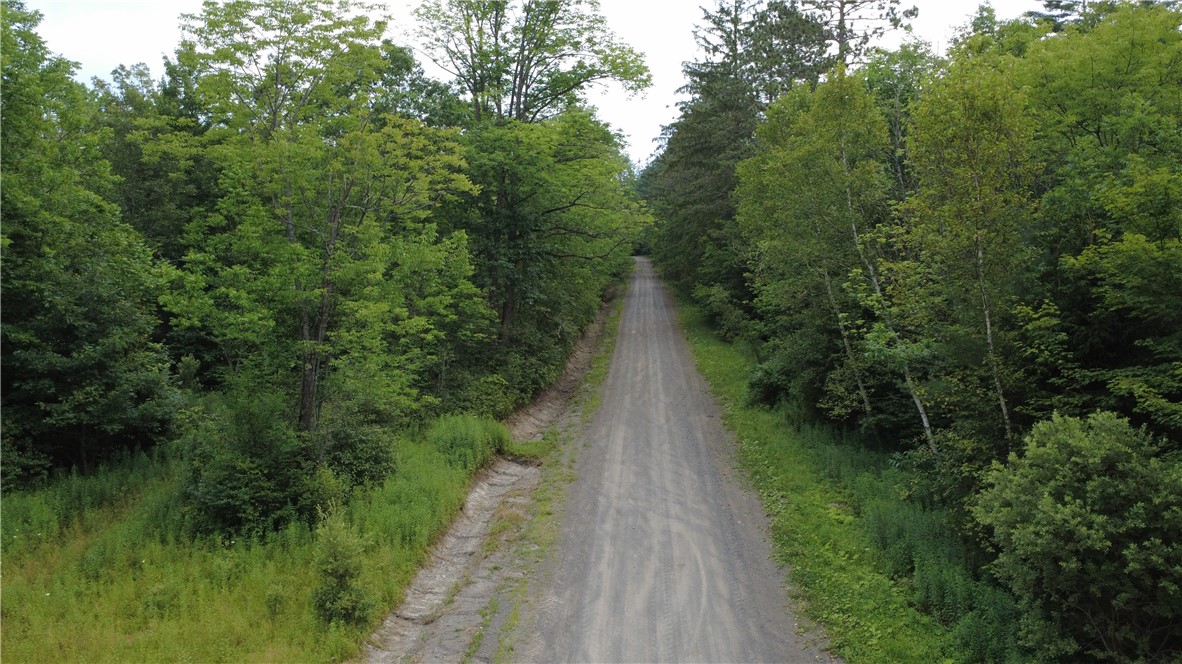 Van Cleef Road