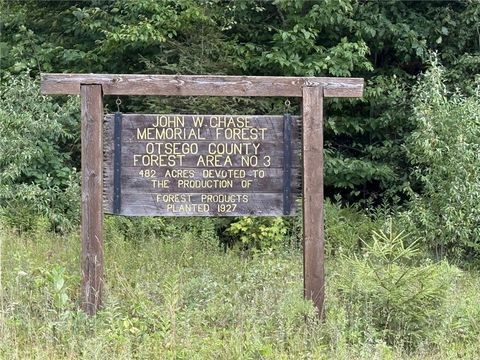 Vacant Land For Sale - Van Cleef Road<br/> Westford, NY 13488