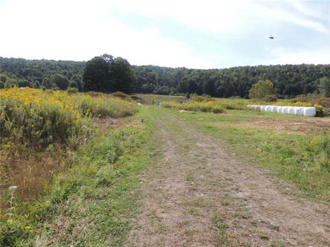 Photo for 2292 County Highway 18