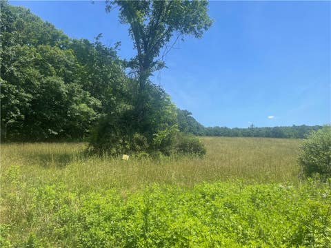 Vacant Land For Sale - Schlafer Road<br/> Guilford, NY 13780