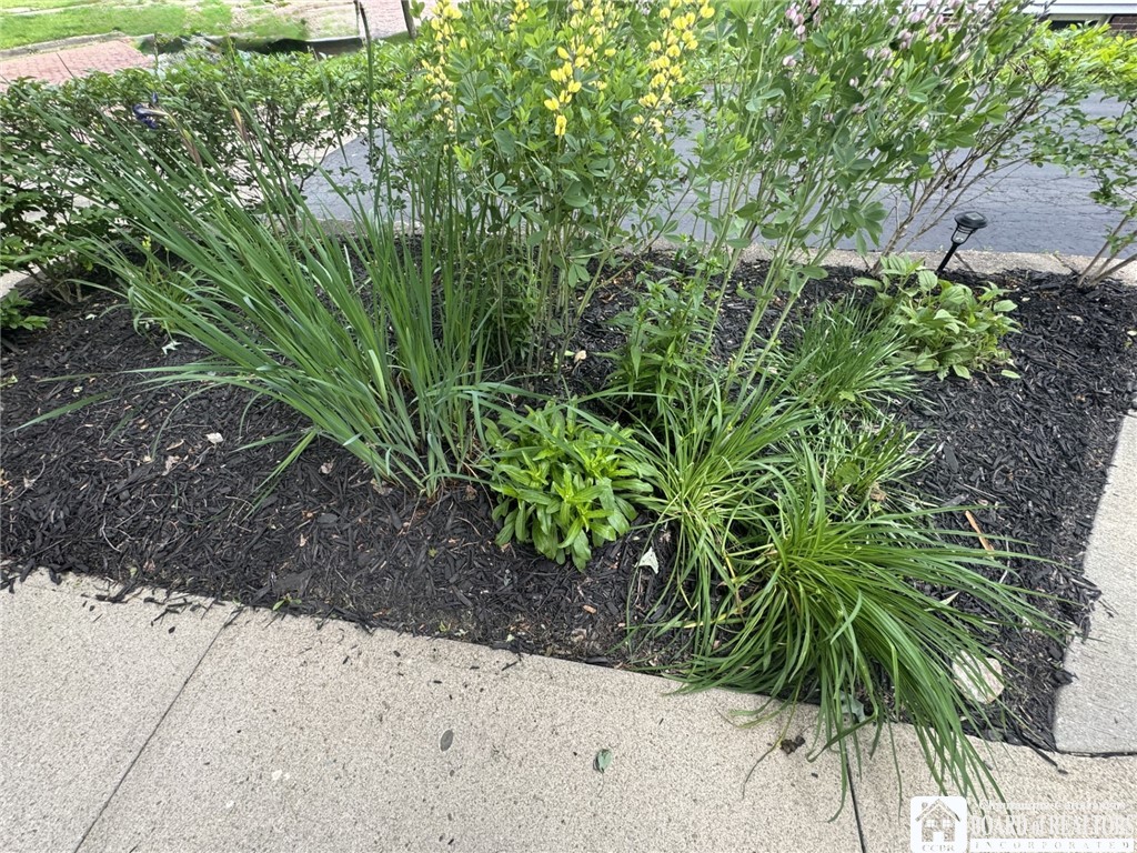 514 Weeks Street, Jamestown, New York image 6