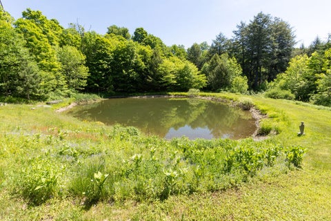 Tiny photo for 6000 Dryden Road, Tompkins, NY 13856 (MLS # R1690142)