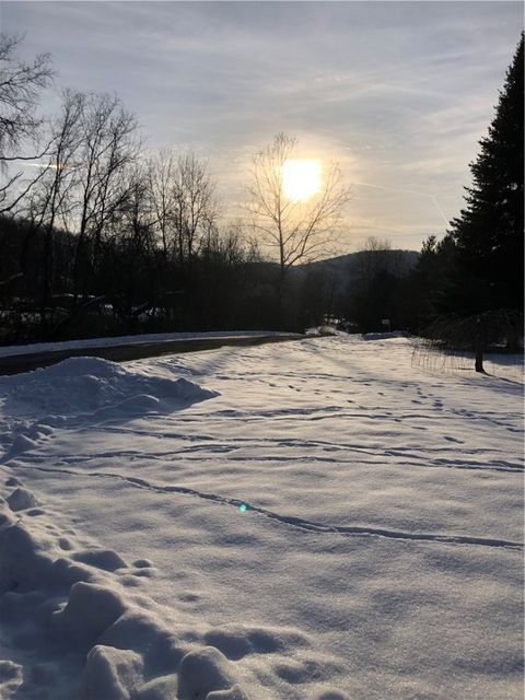 Tiny photo for 137 Shagbark Lane, Oneonta, NY 13820 (MLS # R1655255)