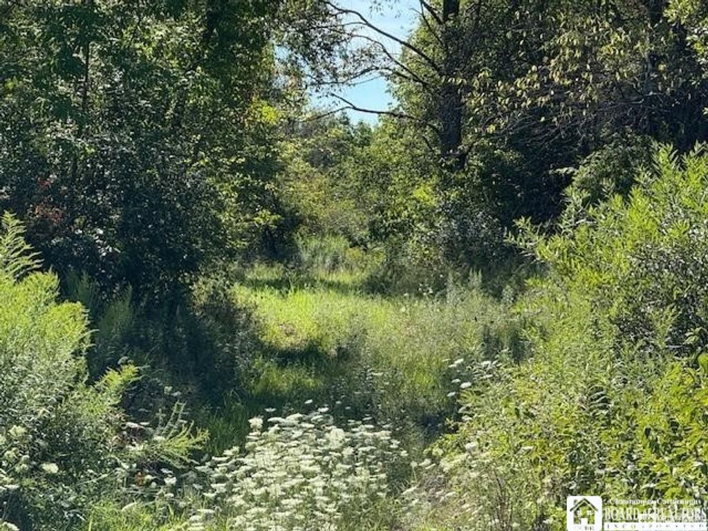 Photo of W Oak Hill Road, Ellicott, NY 14701 (MLS # R1681457)