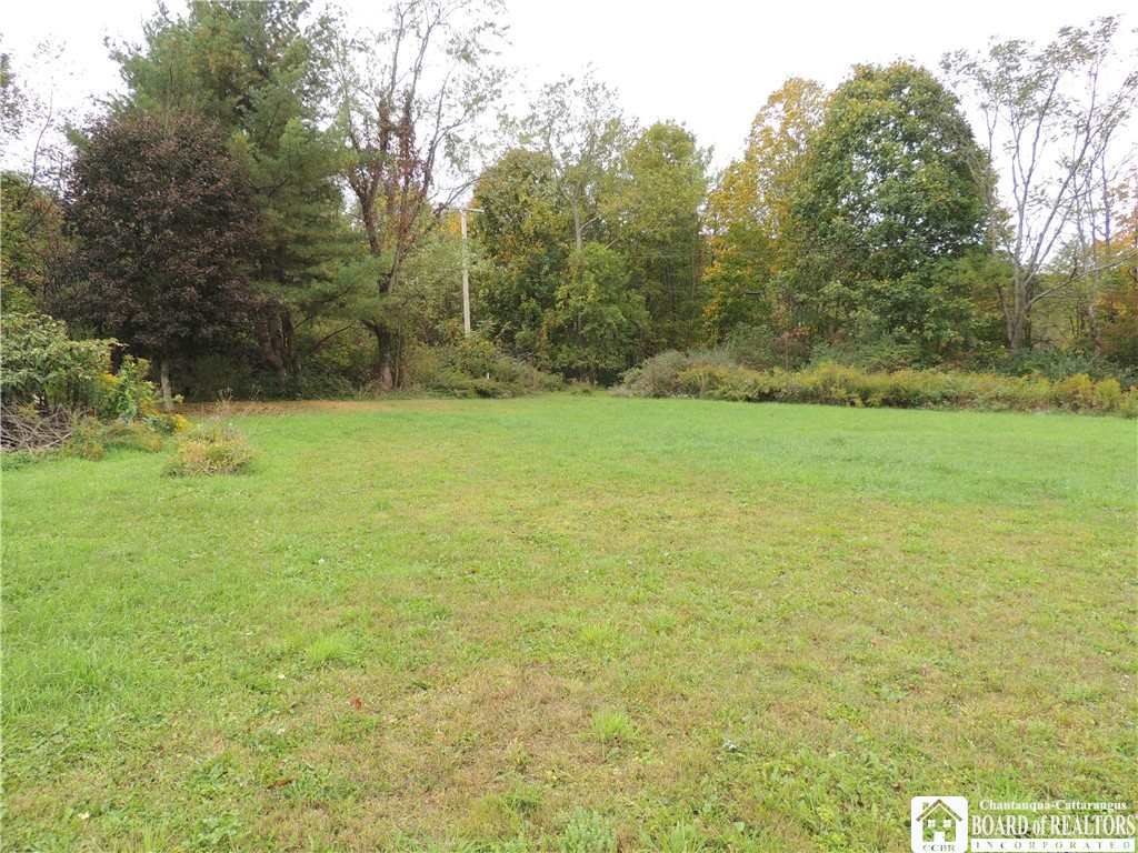 3 Mud Creek Road, Poland, New York image 6