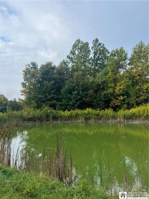 Photo for Wattlesburg Road E