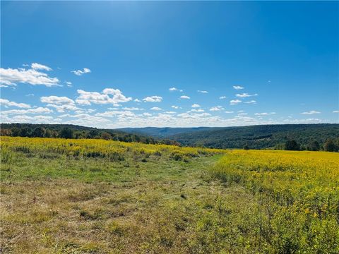 Vacant Land For Sale - Gallop Hill Road<br/> Sidney, NY 13838