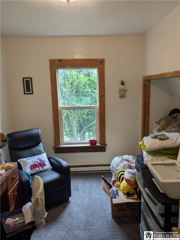 650 Barrows Street, Jamestown, New York image 16