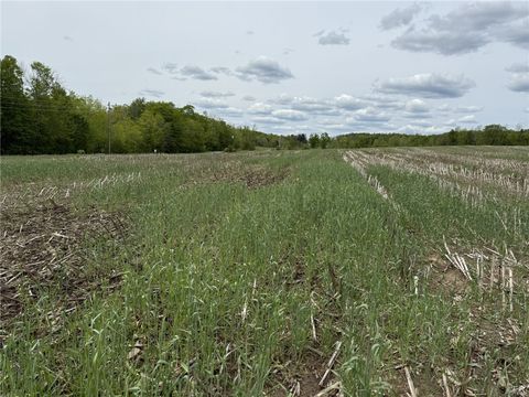 Vacant Land For Sale - L7.415 County Road 7<br/> Mc Donough, NY 13801
