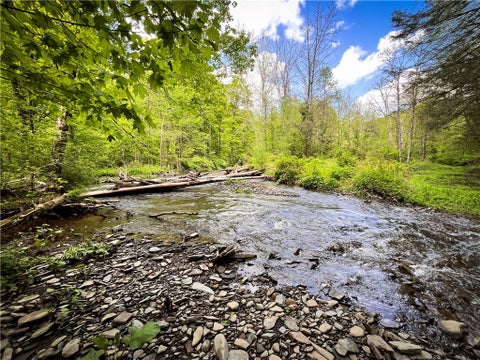 Photo for Oak Hill Road