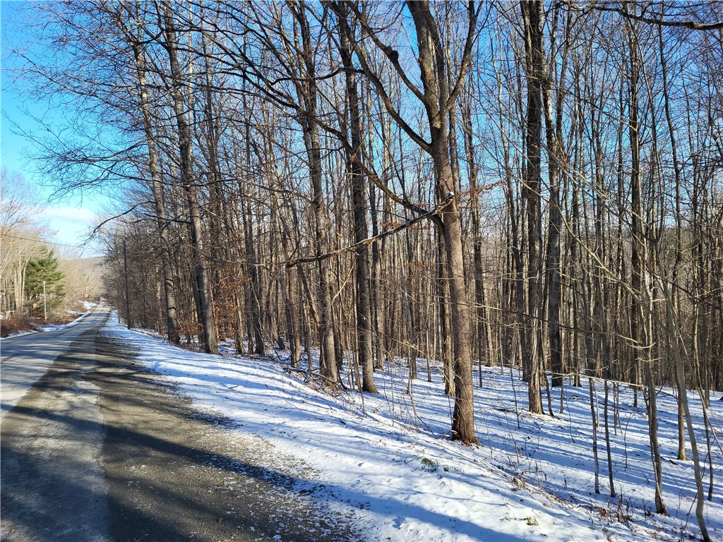 Mary Brown Hill Road, Laurens, New York image 17