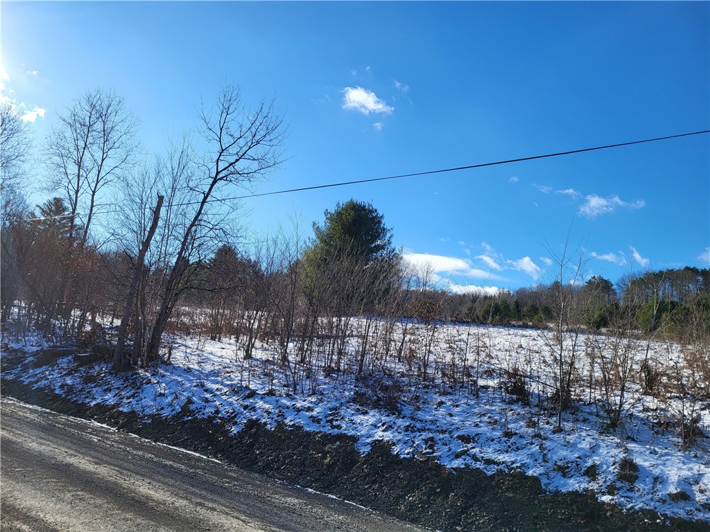 Mary Brown Hill Road, Laurens, New York image 13