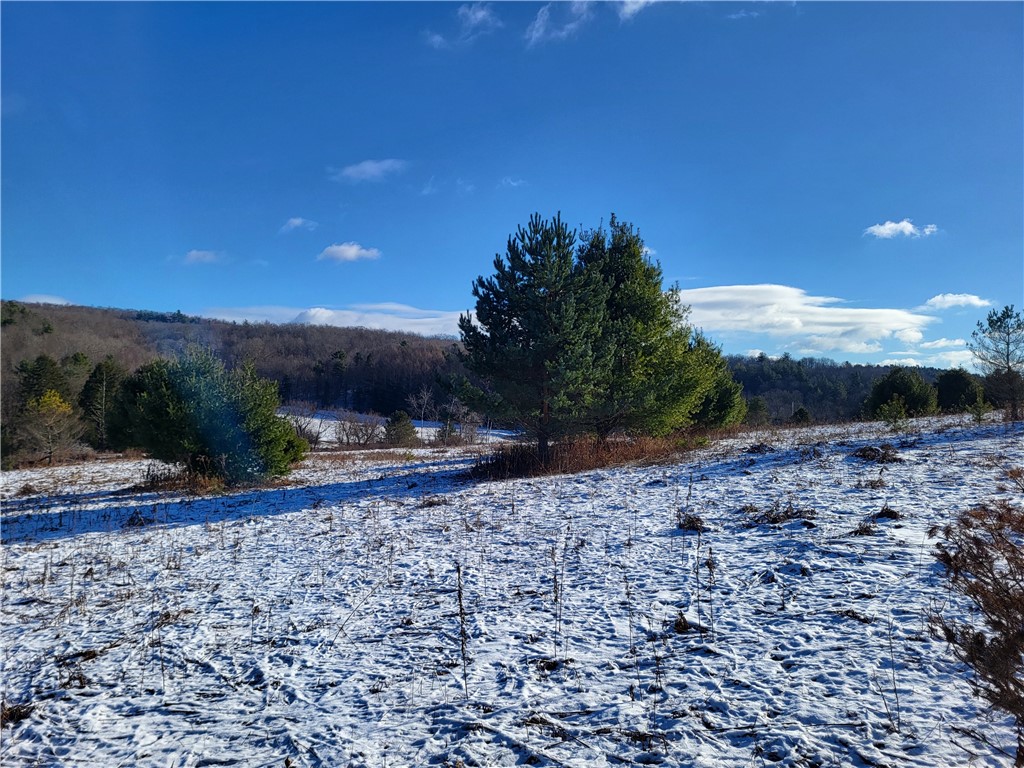 Mary Brown Hill Road, Laurens, New York image 6