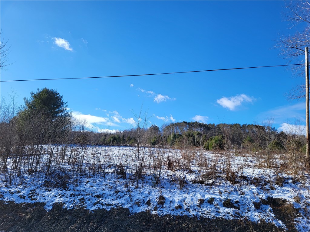 Mary Brown Hill Road, Laurens, New York image 11