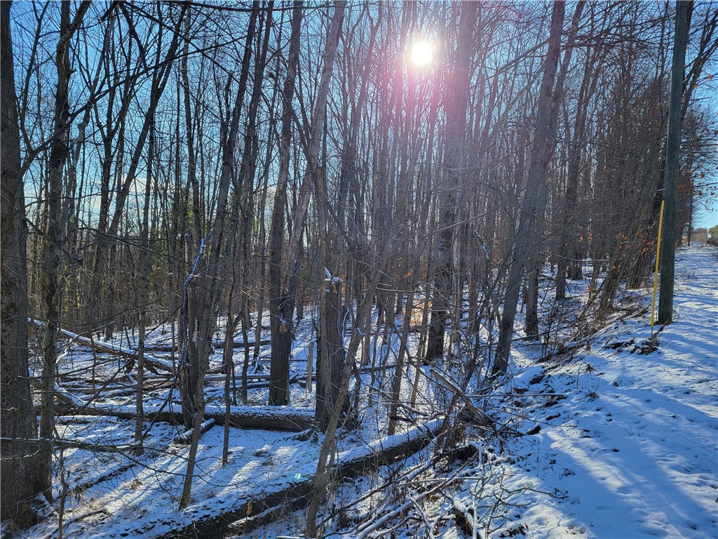 Mary Brown Hill Road, Laurens, New York image 18