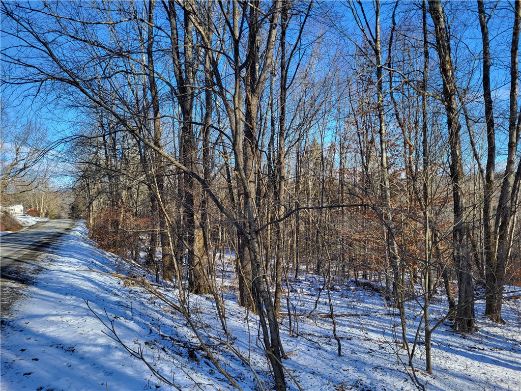 Mary Brown Hill Road, Laurens, New York image 19