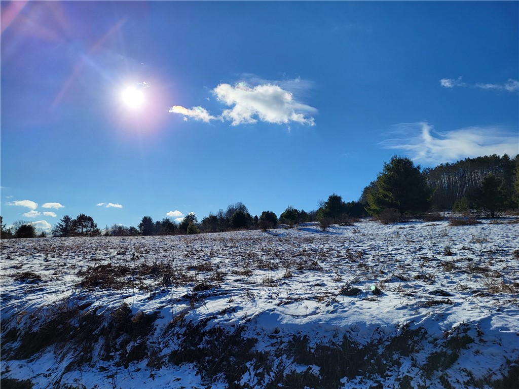 Mary Brown Hill Road, Laurens, New York image 8