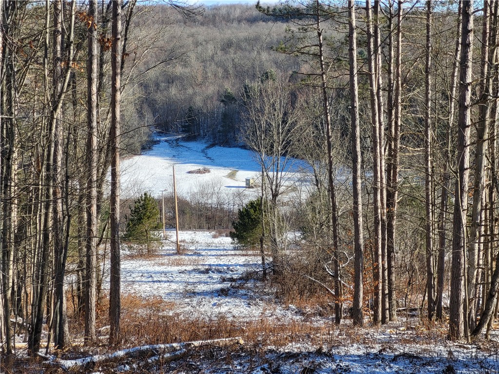 Mary Brown Hill Road, Laurens, New York image 21