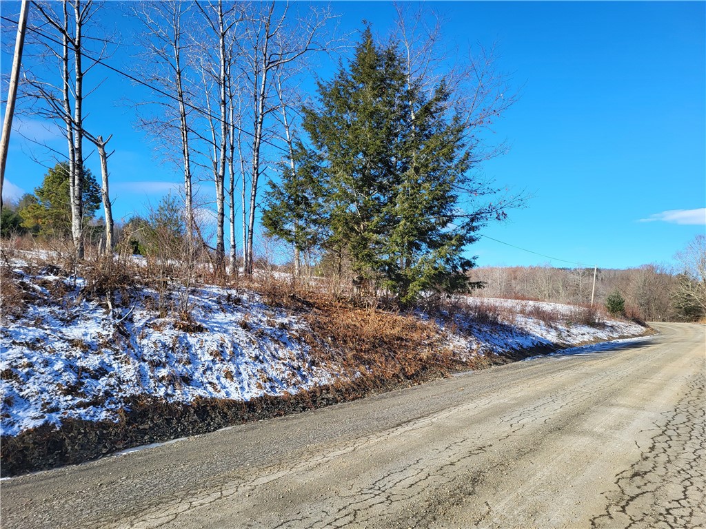 Mary Brown Hill Road, Laurens, New York image 12