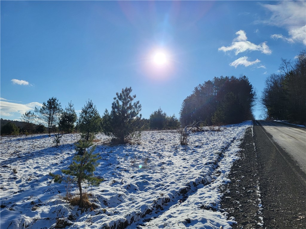 Mary Brown Hill Road, Laurens, New York image 7