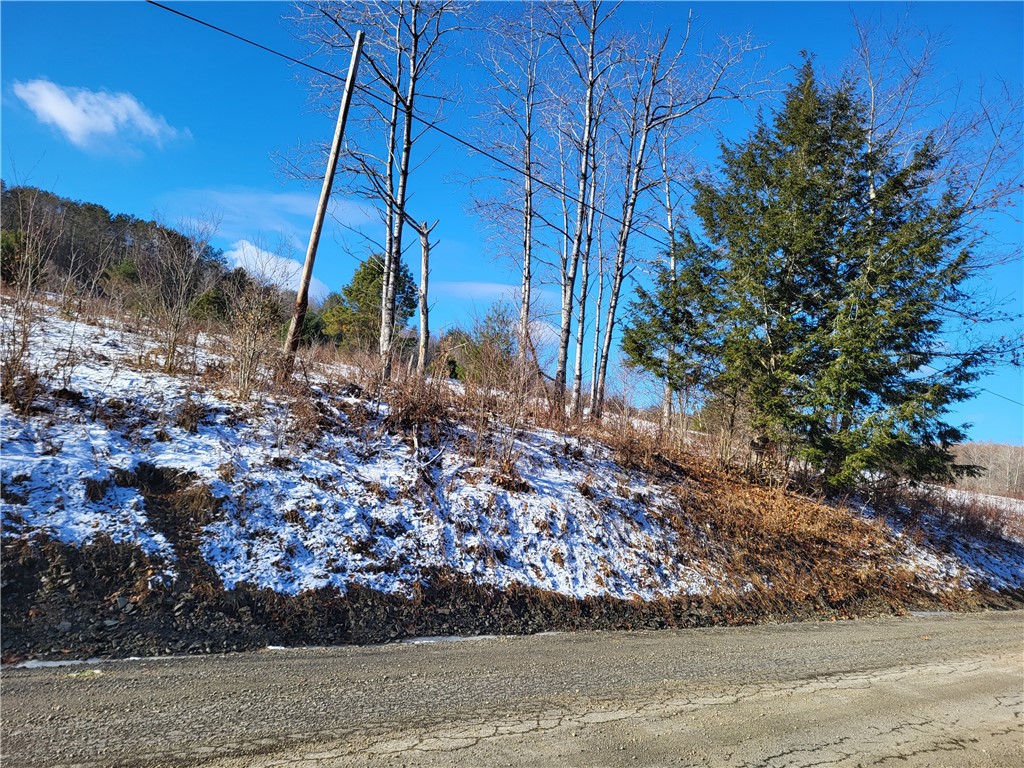 Mary Brown Hill Road, Laurens, New York image 14