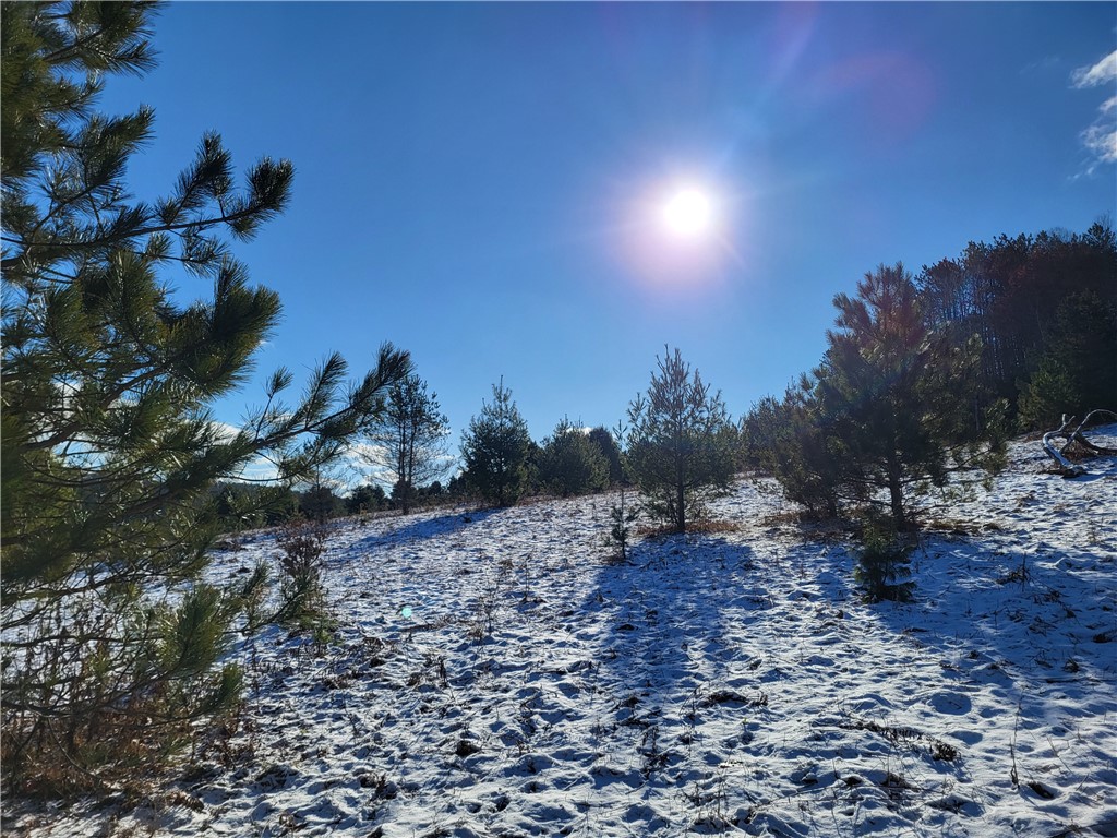 Mary Brown Hill Road, Laurens, New York image 4