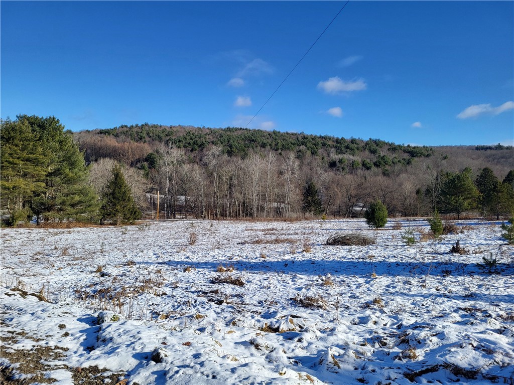 Mary Brown Hill Road, Laurens, New York image 1