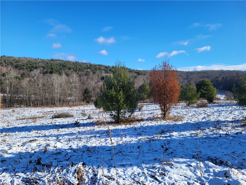 Mary Brown Hill Road, Laurens, New York image 2