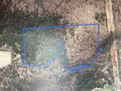 Vacant Land For Sale - Parker Hollow Road<br/> Delaware County, Sidney, NY 13838