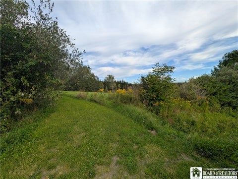 Tiny photo for 10338 Beechtree Road, Ashford, NY 14171 (MLS # R1714922)
