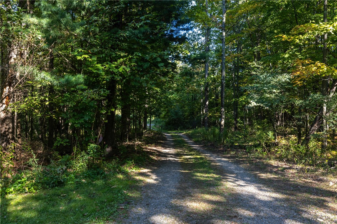 11014 Wolcott Road