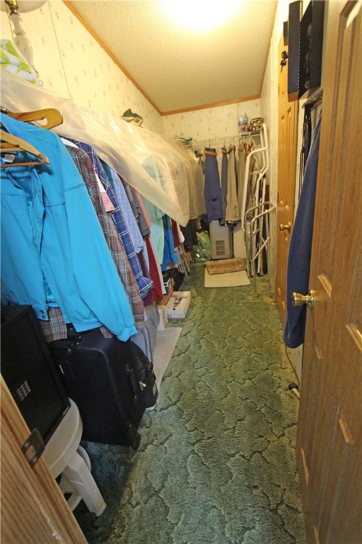 312 Al Pekrul Road, Roxbury, New York image 18