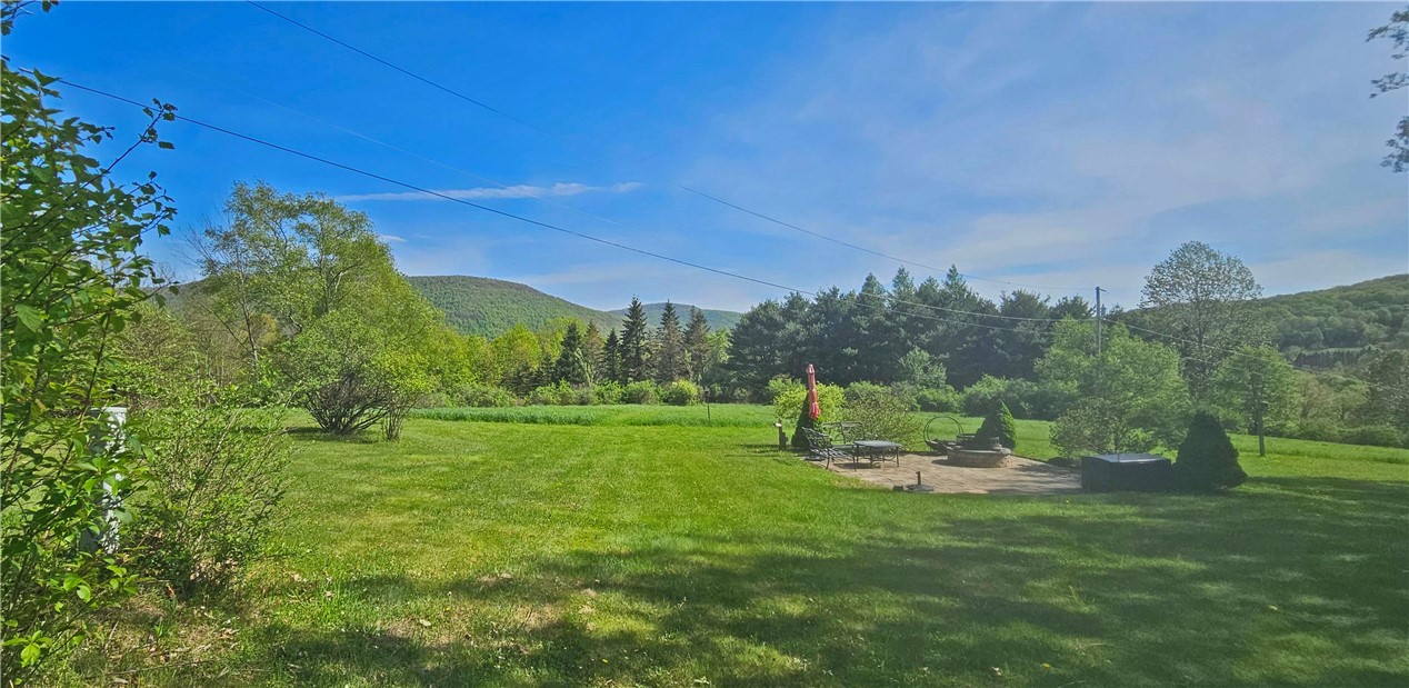 312 Al Pekrul Road, Roxbury, New York image 5