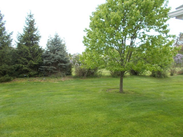 Search Properties 1 35 belltower lane