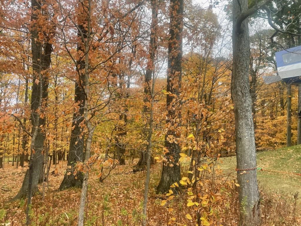 Photo of 6449 Co Rd 21, Naples, NY 14512 (MLS # R1649858)