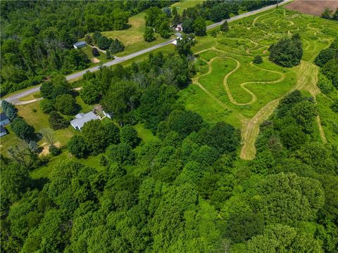 Tiny photo for 650 Pleasant Valley Road, Arcadia, NY 14489 (MLS # R1688695)
