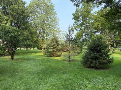 Tiny photo for 4320 Case Road, Bristol, NY 14424 (MLS # R1702550)
