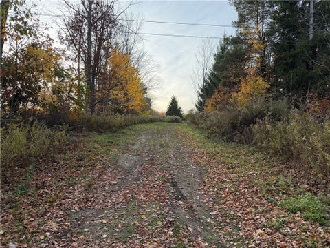 Photo of 307 Watrus Road, Greene, NY 13778 (MLS # R1683702)