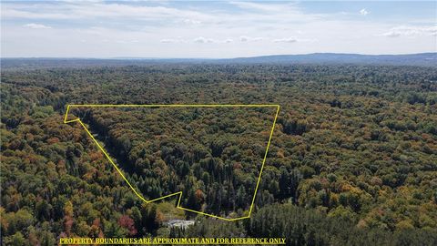 Vacant Land For Sale - 78 Culver Brook Road<br/> Boonville, NY 13309