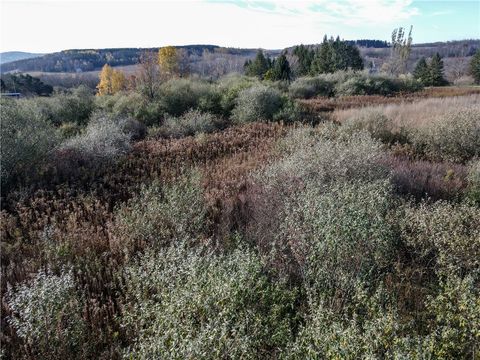 Photo of VL Lot 03 Williams Road, Rathbone, NY 14801 (MLS # R1654560)