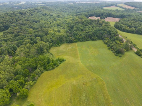 Photo for 1337 Creek Road