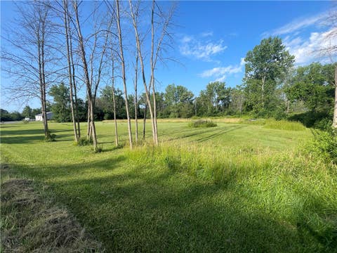 Featured picture for the property R1482873