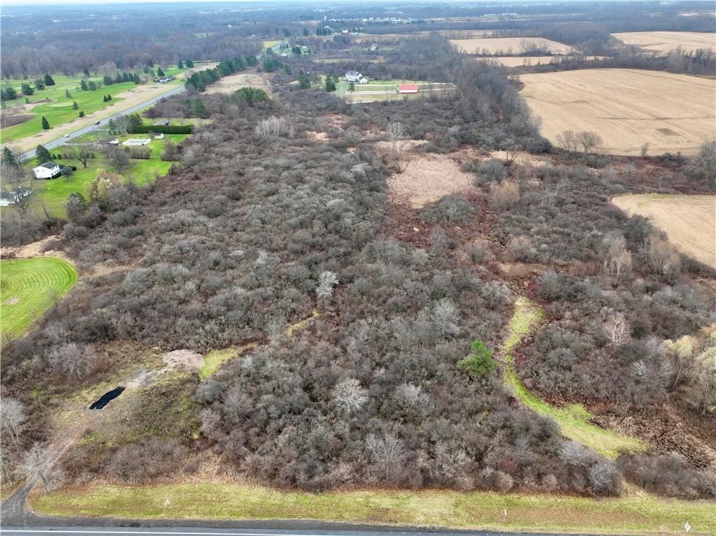 Brace Road - 12.9 Acres, Victor, New York image 6