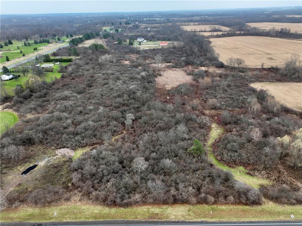 Brace Road - 12.9 Acres, Victor, New York image 5