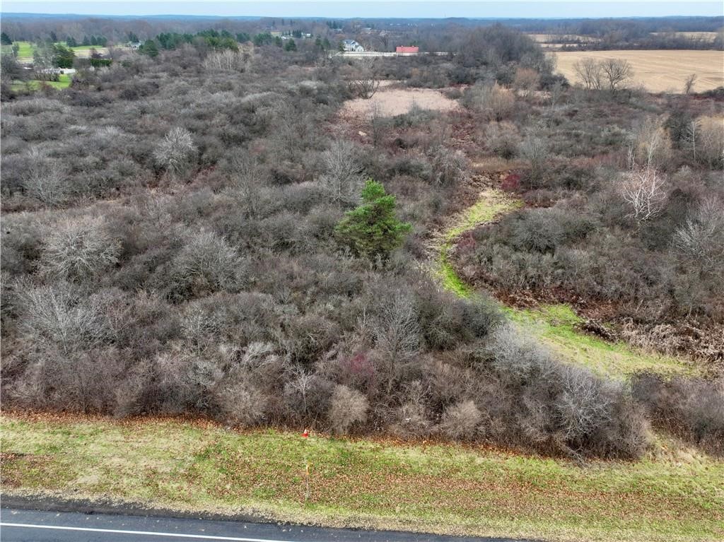 Brace Road - 12.9 Acres, Victor, New York image 3