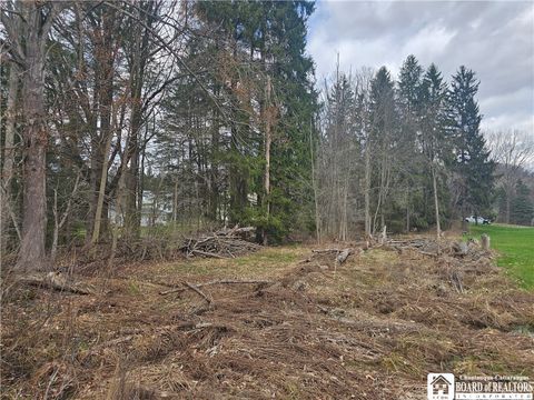 Vacant Land For Sale - 1815 W Fall Road<br/> Cattaraugus County, Olean, NY 14760